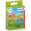 Schleich 42479 set sučka so šteniatkom Šiba inu