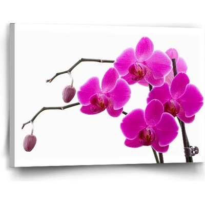 Sablio Obraz Fialové orchidey - 90x60 cm