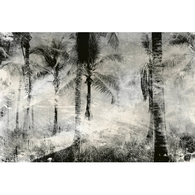 DIMEX MS-5-0374 vliesová fototapeta rozměry 375 x 250 cm