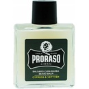 Balzamy a kondicionéry na fúzy Proraso Cypress and Vetyver balzám na vousy 100 ml