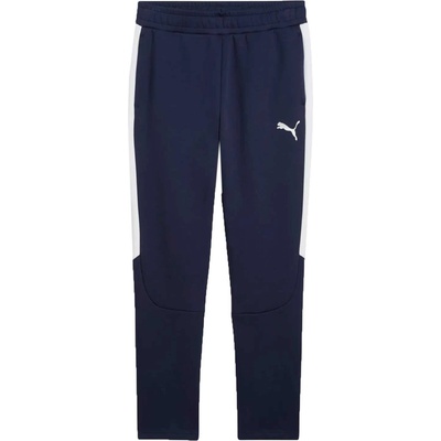 PUMA Teamevostripe pants m