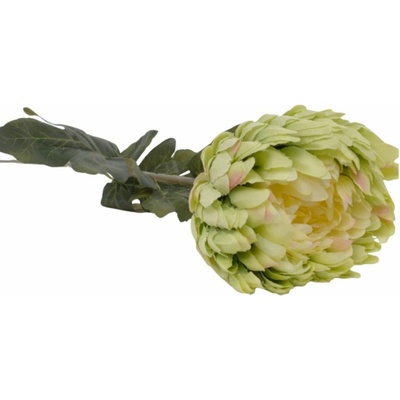 KS CHRYZANTÉMA BIELA 75CM