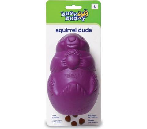 Busy Buddy Squirrel Dude S