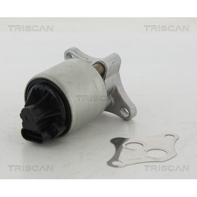 AGR-Ventil TRISCAN 8813 24004