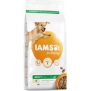 Iams Dog Adult Large Breed, Chicken 3 kg