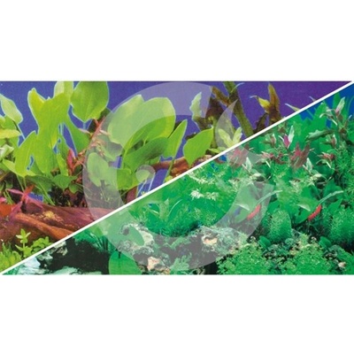 Hobby fototapeta Pflanzen 100 x 60 cm