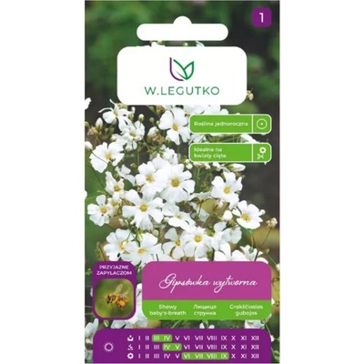 Elegantná biela gypsophila