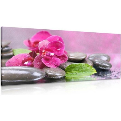 Obraz orchidej s nádechem relaxu - 100x50