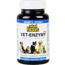 Vitamíny a doplňky stravy pro psy Natural Factors Vet Enzymy podpora hojení, záněty, otoky 90 tbl