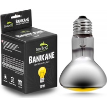 Terrario Banikane Neodymium Light 75 W