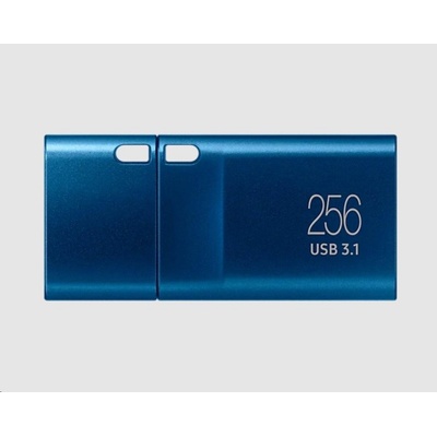 Samsung 256GB MUF-256DA/APC – Zboží Živě