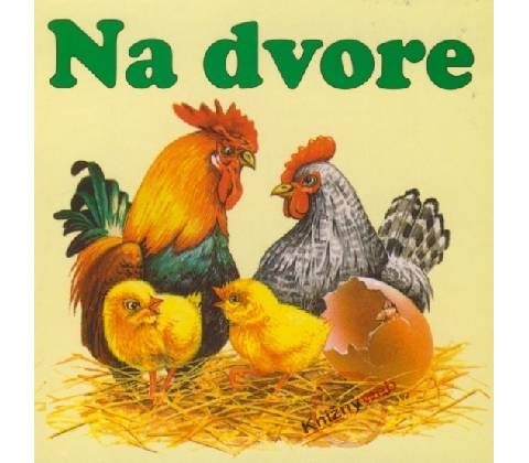 Na dvore