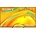 Sony Bravia 5 K-55XR55B
