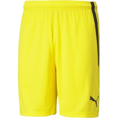 PUMA Team liga shorts xl