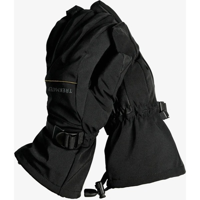 Trekmates Argun 3 in 1 DRY Glove black