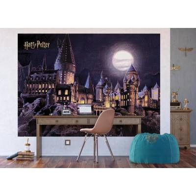 AG Design FTDXL-1965 Papírová fototapeta Harry Potter, rozměry 252 x 182 cm