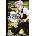 Demon Slayer T17 | Koyoharu Gotouge