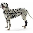 Kruuse Chránič hlezna Rehab L