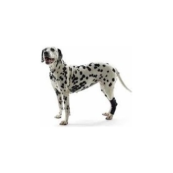 Kruuse Chránič hlezna Rehab L