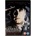 Generálova dcéra DVD