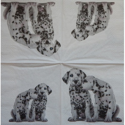 Paper Designe obrúsky Dalmatinci 33x33cm