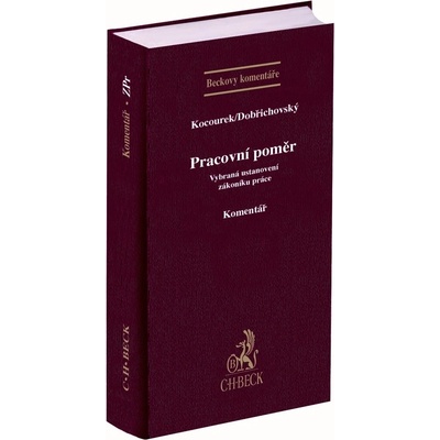 Pracovní poměr. Vybraná ustanovení zákoníku práce. Komentář