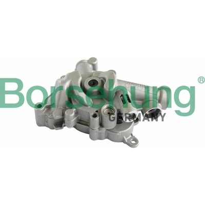 Olejové čerpadlo Borsehung B11899 B11899