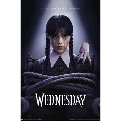 Plagát, Obraz - Wednesday T2 - Wednesday & Thing Stare, 61 × 91.5 cm