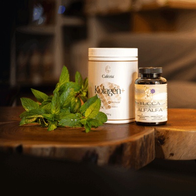 Synergia Zdravia Yucca & Alfalfa 120 kapsúl 4K kolagén+ 500 g