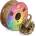 Polymaker Panchroma PLA Gradient Silk Earth - 1, 75 mm / 1000 g (CA03038)