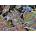 Schmidt Spiele - Puzzle Skelton Steve: Space Colony - 1 000 piese