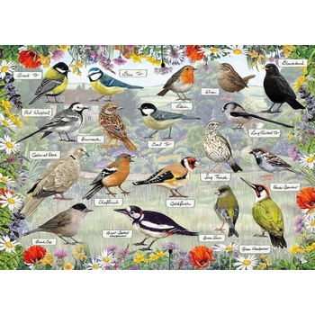 Gibsons - Puzzle Blissful Birds - 1 000 piese