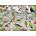 Gibsons - Puzzle Blissful Birds - 1 000 piese