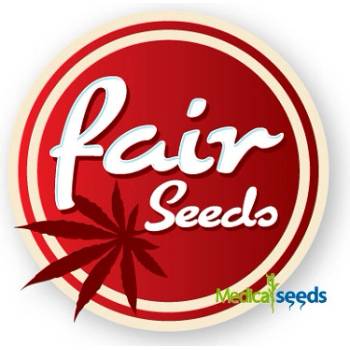 Fair Seeds Auto Crystal Meth semena neobsahují THC 3 ks