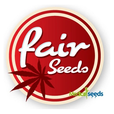 Fair Seeds AUTO Blue Hash semena neobsahují THC 10 ks – Hledejceny.cz