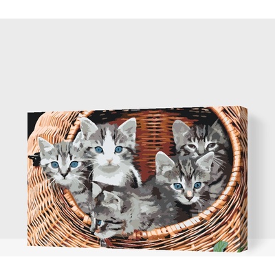 Vymalujsisam.cz Malování podle čísel Kočky v košíku Velikost 40 x 60 cm Rámování Na kartonové desce