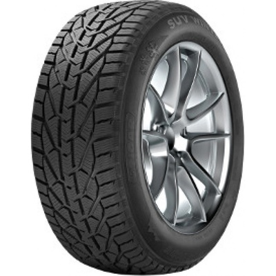 Tigar Winter 1 175/65 R14 82T
