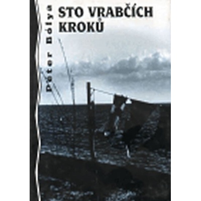 Sto vrabčích kroků - Peter Bólya