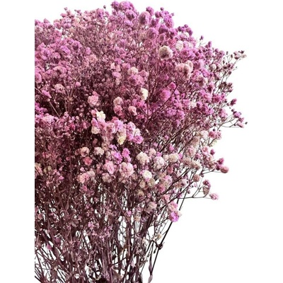 Nevěstin závoj/stabilizovaná Gypsophila svazek/kytice RŮŽOVOFIALOVÁ ŽÍHANÁ 100g
