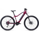 CTM Ruby Pro 2022