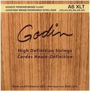 Godin Strings Acoustic Guitar XLT