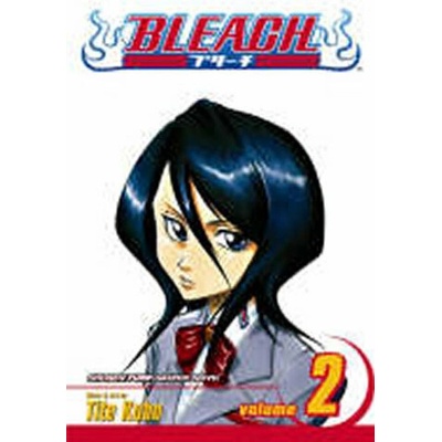 Bleach, Vol. 2