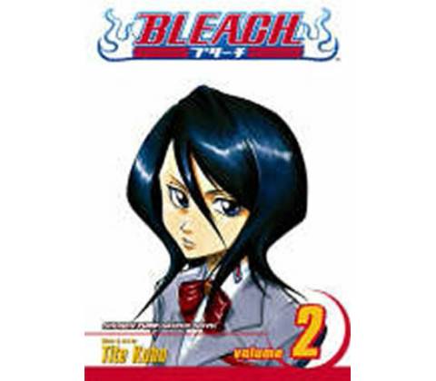 Bleach, Vol. 2