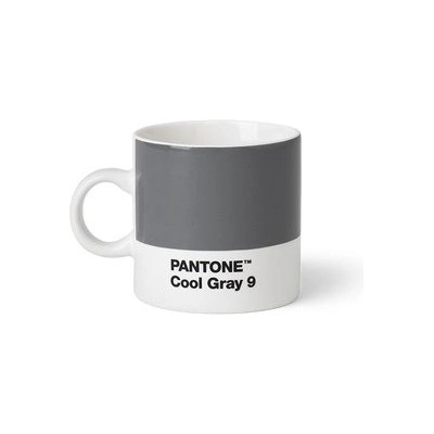 PANTONE Espresso Cool Gray 9 101040009 120 ml