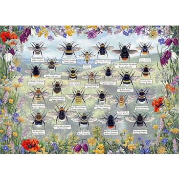 Gibsons - Puzzle Brilliant Bees - 1 000 piese