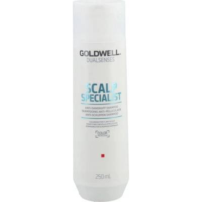 Goldwell DS SS Šampón proti lupinám 250 ml