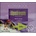 Upstream Proficiency C2 Workbook CD 3