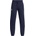 Under Armour Icon fleece jogger l