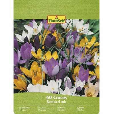 Krokusy FloraSelf 'Botanický mix' 60 ks