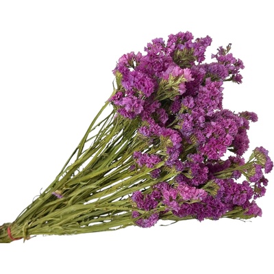 Sušená limonka - Statice Limonium 100g - ružovofialové